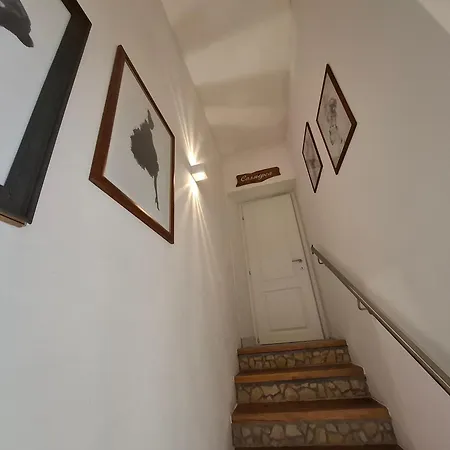 Guest house Sidus Sona